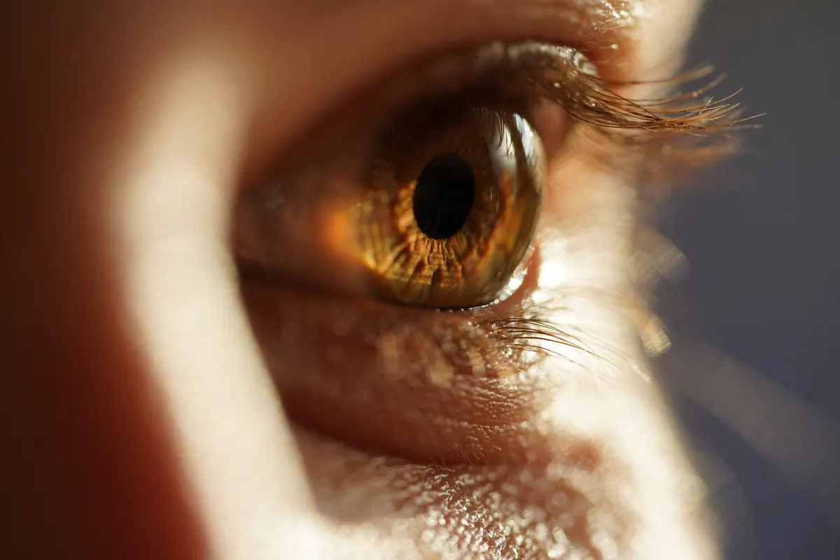 An eye test in progress